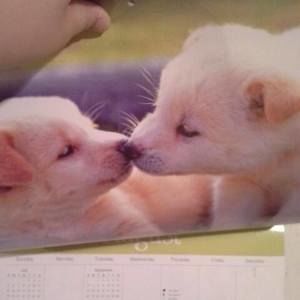 Meet your Posher, Marcella